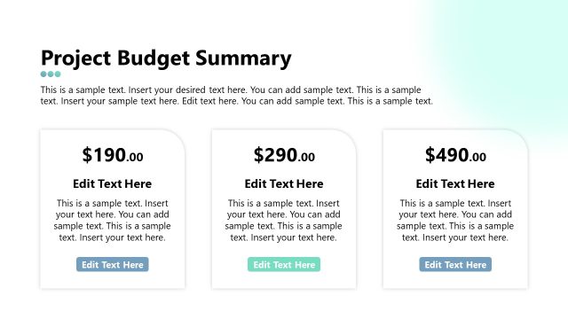 Project Budget Summary Slide with Icons & Text