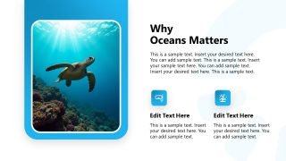 Customizable World Ocean Day PPT Template