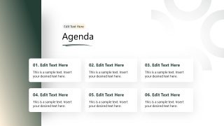 Agenda Slide - Psychiatric Template
