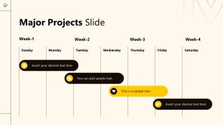 Corporate Annual Meeting Template for Presentation 
