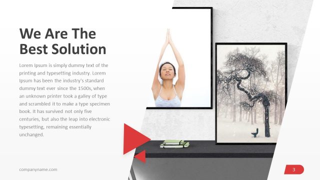 Business Solutions Invidia PowerPoint