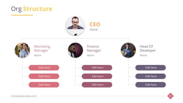 Organizational Structure Mapping PowerPoint
