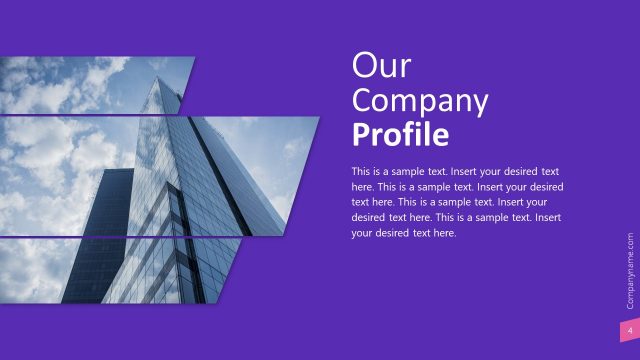 Company Profile Introduction Slide
