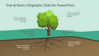 Infographic PowerPoint Label Diagram