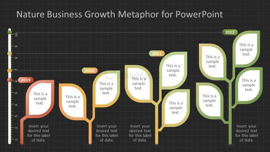 Comparative Slide of Metaphoric Trees - Black Background