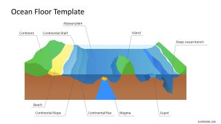 Presentation for Ocean Floor Label Diagram 