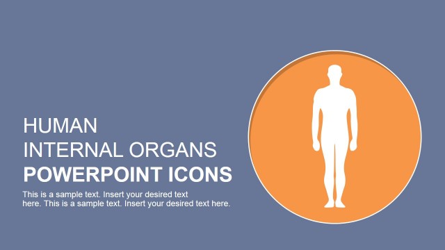 Human Internal Organs PowerPoint Icons