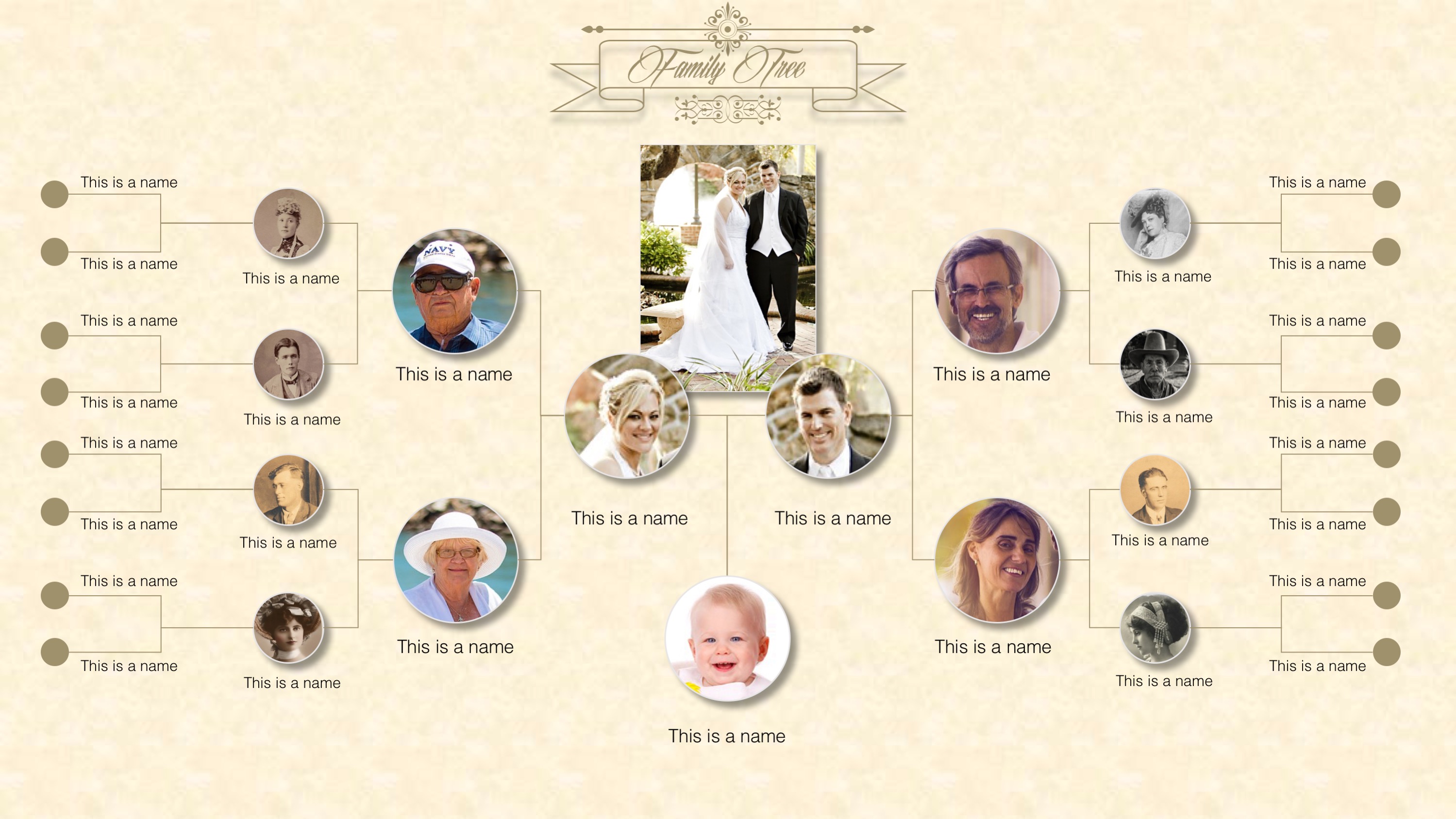 Family Tree Organizational Chart Template