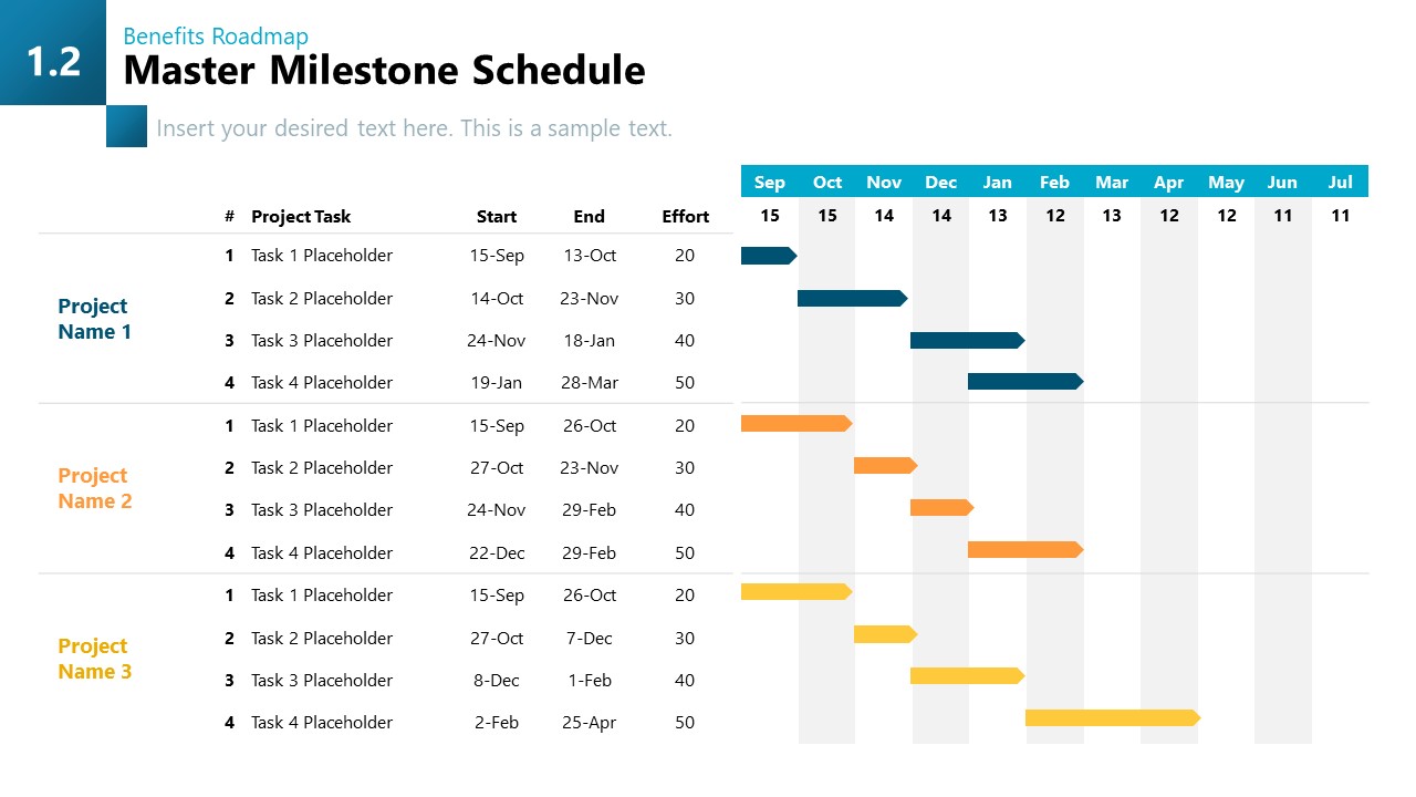 Program Management PowerPoint Template & Slides