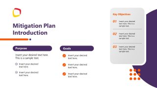 Mitigation Plan Presentation Slide 