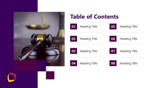 Professional Law Case Presentation Template