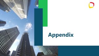 Appendix PPT Slide - Due Diligence Report Slide for M&A