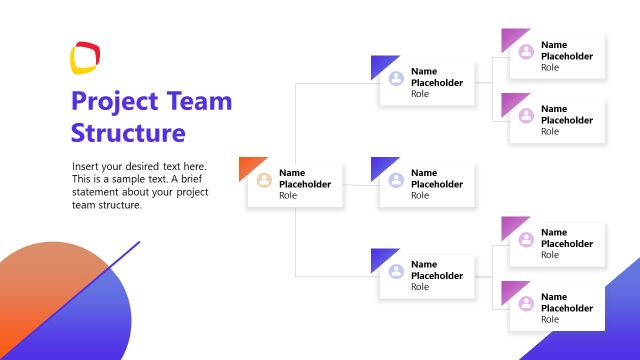 Project Team Structure Presentation Slide
