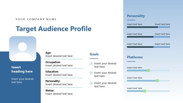 Target Audience Profile Presentation Slide