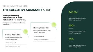PPT Fintech Presentation Slide for Executive Summary