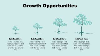 Slide of Growth Opportunities Success Story 