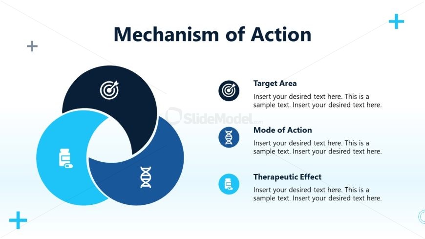Pharmaceutical Product Template Slide