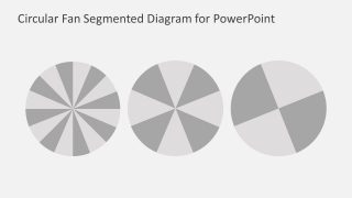 Circular Segmented Diagram Options