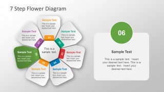 Flower Petals Cycle Diagram