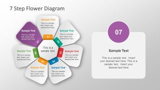 7 Segments Flower Petals Design 