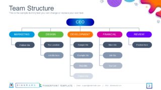 Hierarchy Diagram of Organizational Structure