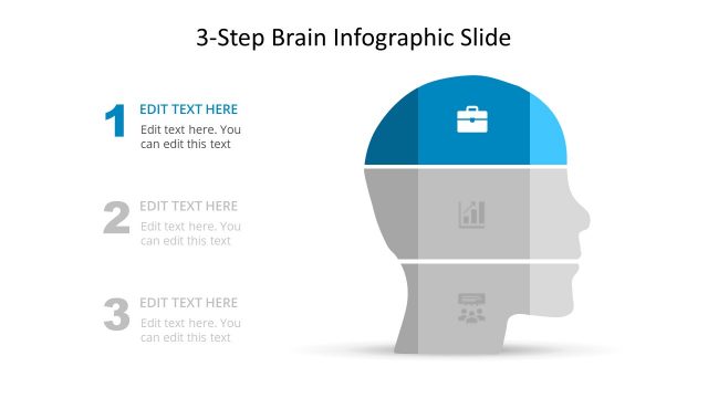 Template of Segmented Brain Infographic