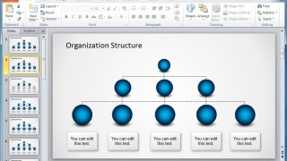 Organizational Chart Maker Powerpoint